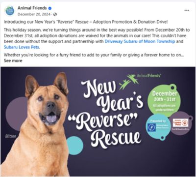 Animal Friends/ New Year's "Reverse" Rescue