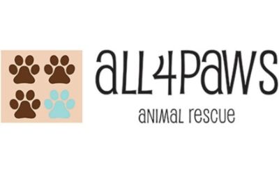 partnerCompanyName