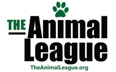 South Lake Animal League dba The Animal League