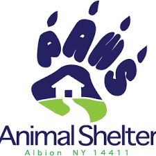 partnerCompanyName