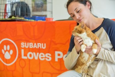 Twin City helps make Subaru Loves Pets month a huge success!