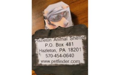 Hazleton Animal Shelter Association