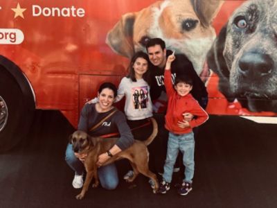 Mitchell Subaru Pet Adoption