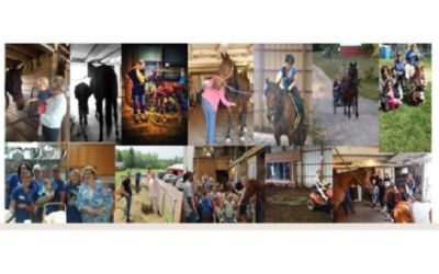 Sunshine Horses Inc. and Romano Subaru Partner