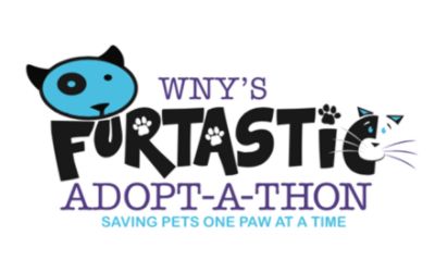 WNY's Furtastic Adopt-A-Thon