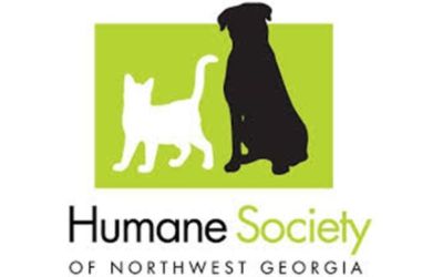 partnerCompanyName
