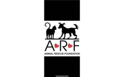 partnerCompanyName