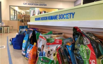 Goldstein and MHHS Partnership