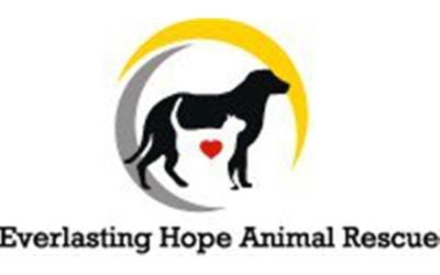 Everlasting Hope Animal Rescue