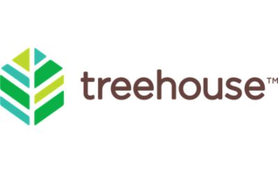 Treehouse for Kids