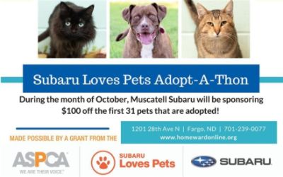 Subaru Loves Pets Adopt-A-Thon
