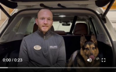 Sellers Subaru Saves Animals
