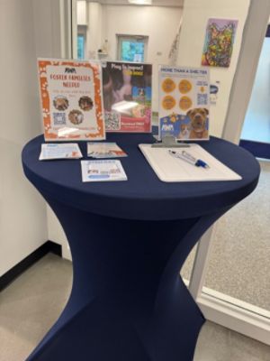 October is a Special Month at AWA