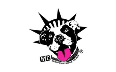 Second Chance Rescue NYC