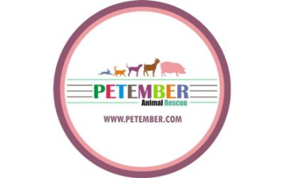 partnerCompanyName