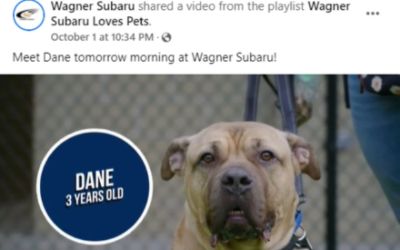 Wagner Subaru LOVES Pets!