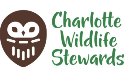 Charlotte Wildlife Stewards