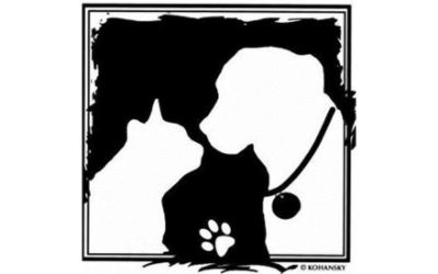 partnerCompanyName