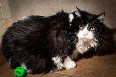 Maggie's second chance