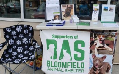 Lynnes Subaru helping Bloomfield Animal Shelter