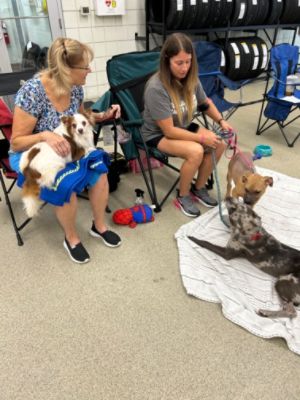 PA Caring for K9s