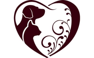 partnerCompanyName