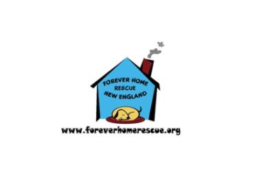 Forever Home Rescue New England
