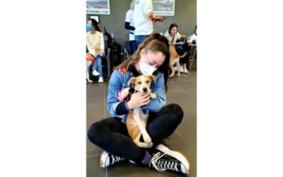 Love at First Sight at “Subaru Loves Pets” Event