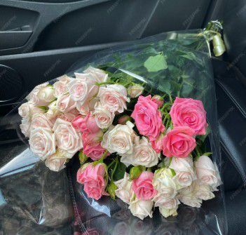 Bringing a Smile to Ramona