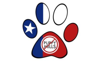 partnerCompanyName