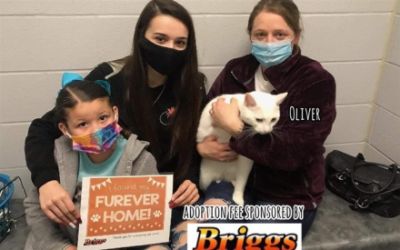 BRIGGS SUBARU HELPS PETS FIND THEIR FUREVER HOME