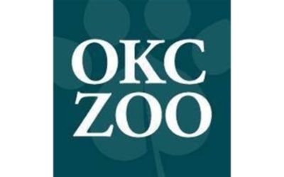 OKC Zoo celebrates Sumatran tiger twins' first birthday