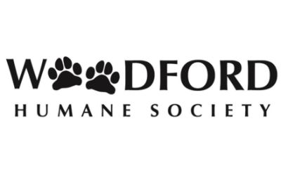 partnerCompanyName