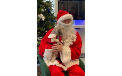 Santa Paws visits Kenny Ross Subaru