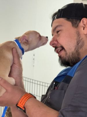 Gresham Subaru Loves Pets!