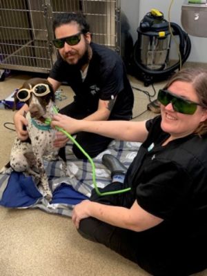 Dogs like Rolfe are saved thanks to the support of Subaru of Fort Myers