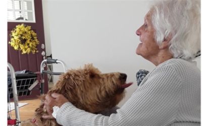 Tail Wagging Joy for Homebound Seniors