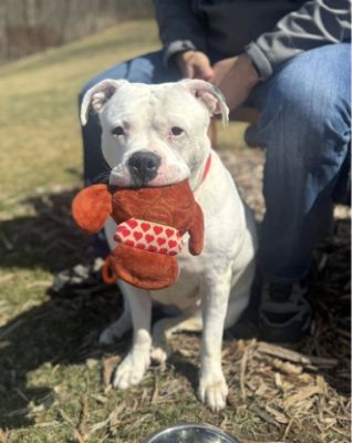 Paws and Promise: A Heartfelt Thank You from the Wisconsin Humane Society