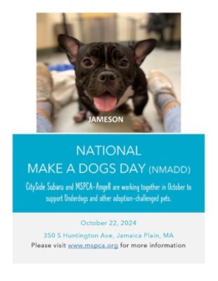 Make a Dogs Day 2024