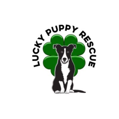 Lucky Puppy Rescue