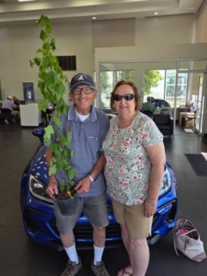Planting Hope: O'Steen Subaru of Valdosta Gives Back—Again