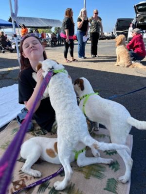 Working together for local Dogs in Need