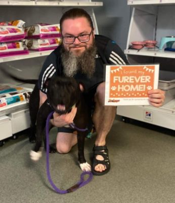 Briggs Helps Pets Find Homes