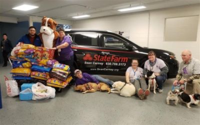 Grand Subaru Cares about Rescue Pets