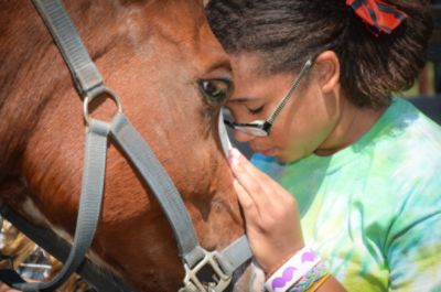 Driven by Love, Carried by Horses