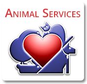 partnerCompanyName