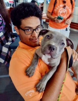 Subaru of Fort Myers hosts "Meet and Greet" for puppies available at CCAS--All were adopted!