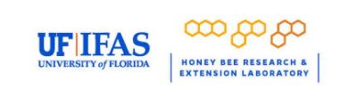 University of Florida