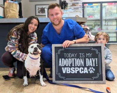 Subaru Clients Fall in Love with Shelter Dog
