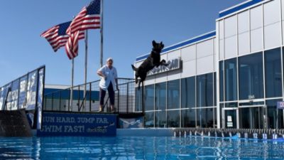 Who let the dogs out? Bergstrom Subaru Oshkosh Loves Dogs